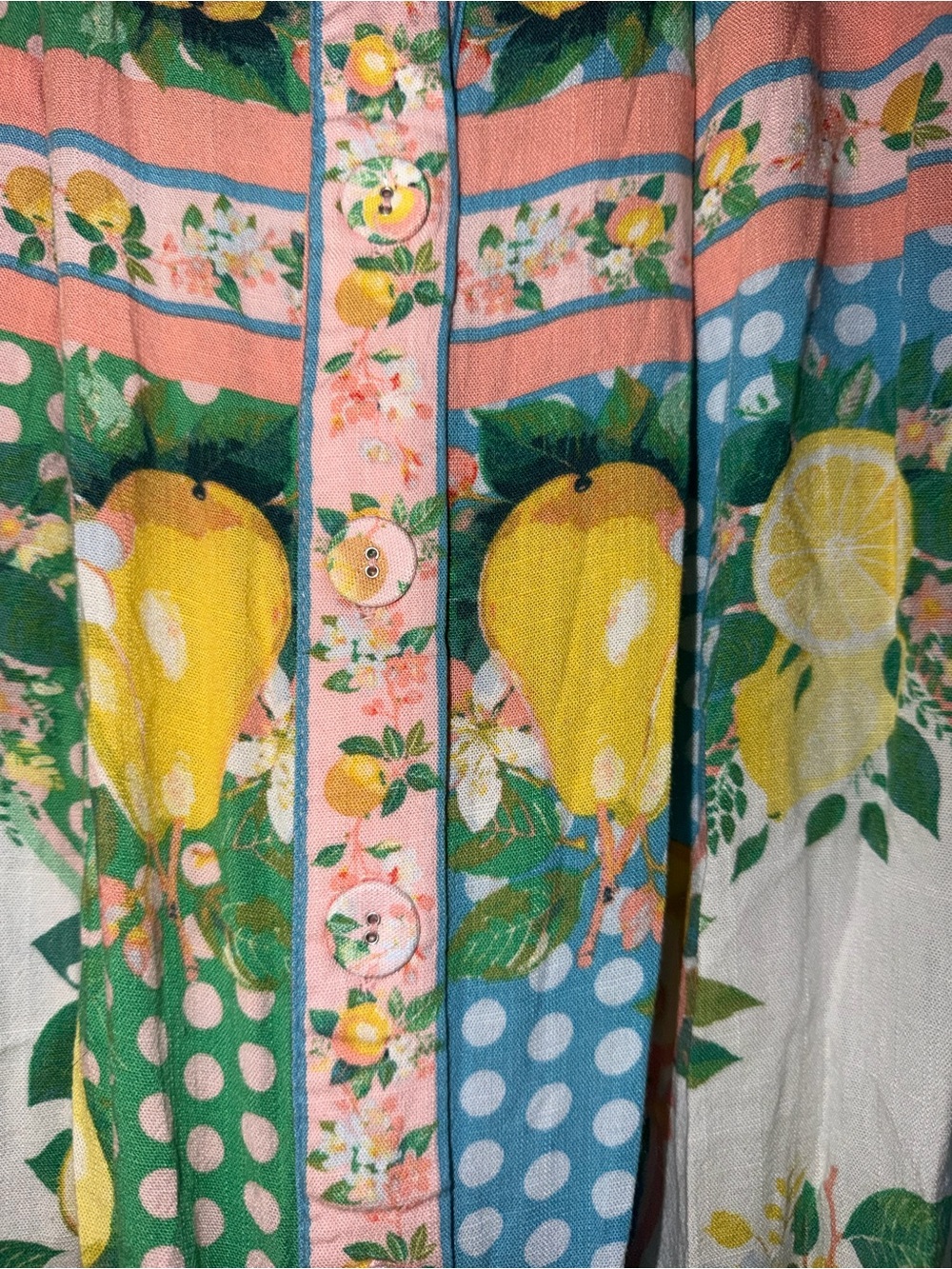 Rose & Olive Lemon & Pear Print Maxi Skirt in Green, Blue & Pink - Picture 5 of 6